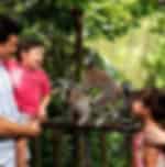 Happy timeout at Singapore Zoo