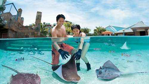 Adventure Cove + SEA Aquarium on private basis (Fri, Sat, Sun, Mon, Tues)