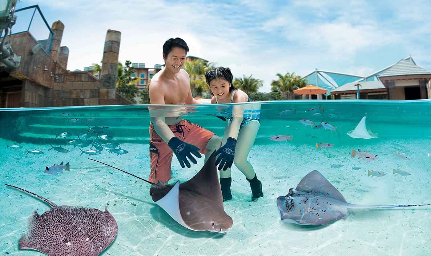 Adventure Cove + SEA Aquarium (admissions) (Sat, Sun)