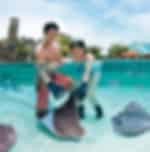 Adventure Cove + SEA Aquarium (admissions) (Sat, Sun)
