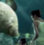 Singapore Zoo + River Safari Combo