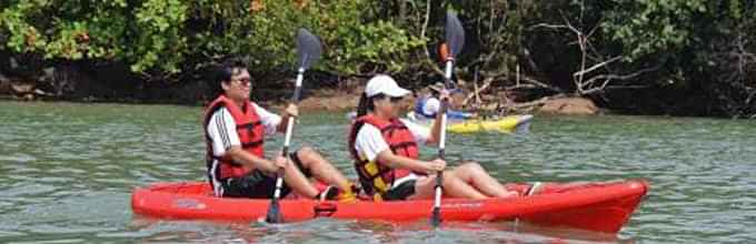 Adventure to explore Pulau Ubin via the eco mangrove kayaking trail