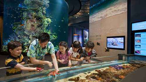  S.E.A Aquarium with Private Transfers (Mon, Tue, Sat, Sun) 	