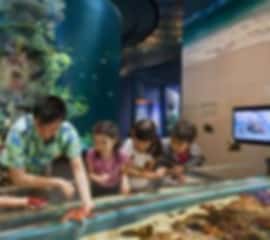 Romantic 10 Days Singapore Honeymoon Tour Package