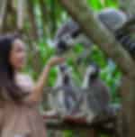 Bali Zoo and Bali Bird Park With Private Transfers