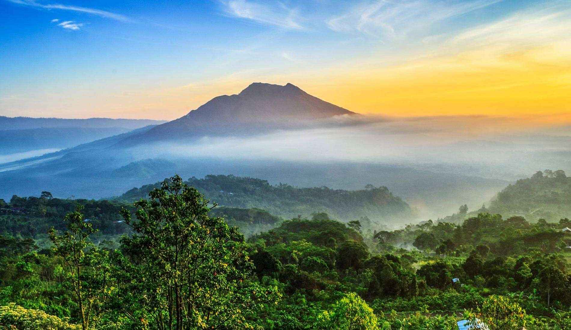 Kintamani Volcano Viewpoint, Ubud Art Market, Tegenungan Water Fall, Coffee Plantation Tegallalang Rice field