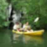 Deep mangrove and canyon Kayak Tour in Krabi
