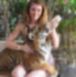 Samui Aquarium & Tiger Zoo Tour amidst the amazing wildlife like sea lions and tigers