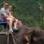 Eco tour : Visit Plai Leam temple,Elephant Village,Namuang Waterfall II - The highest waterfall in Samui