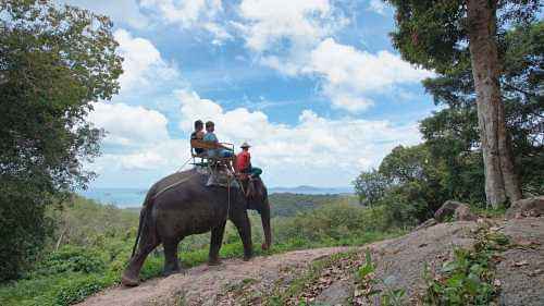 Elephant Trekking adventure at Siam Safari inclusive of meal options