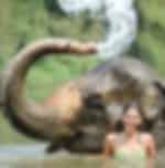 Rafting Safari Full Day