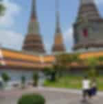 Excursion to Ancient Temples : Wat Doi Suthep,Wat Suan Dok and Wat Chedi Luang