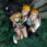 Flight of the Gibbon Zipline Tour exposed to exotic gibbons in the wild and spectacular hanging sky bridges