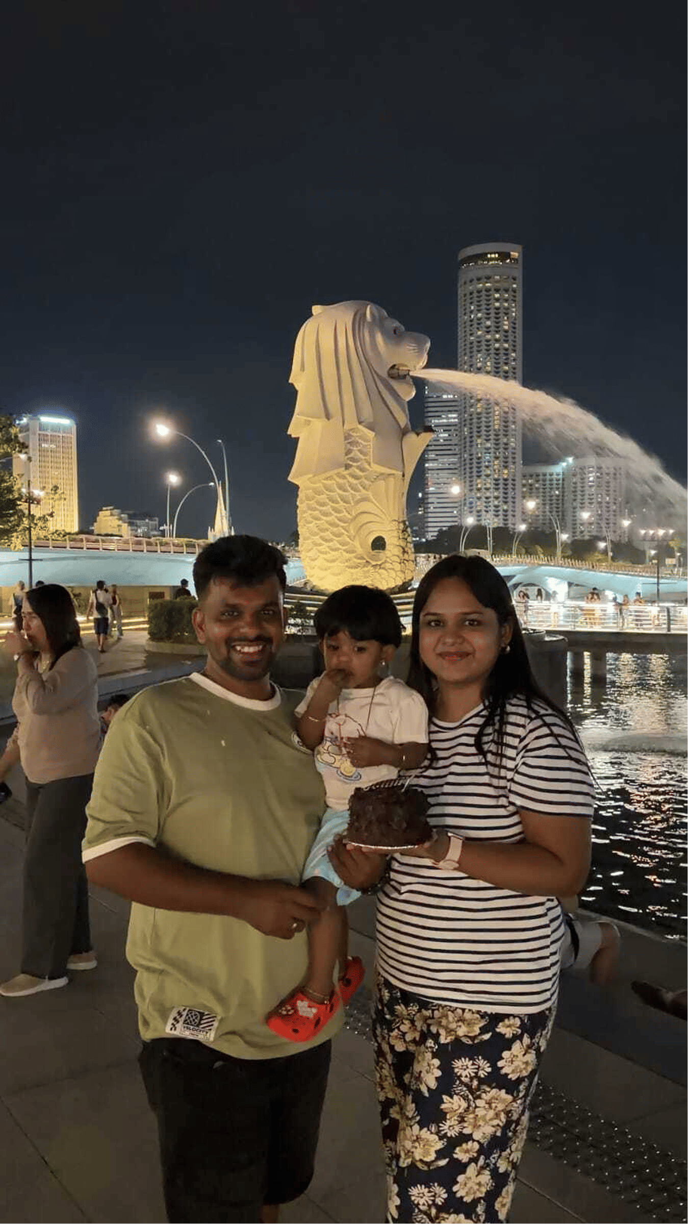 City Tour and Gardens By The Bay (Cloud Forest and Flower Dome) with Shared Transfers