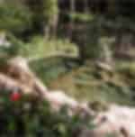 Ultimate Thai massage treatment at Waree Raksa Hot Spring Spa