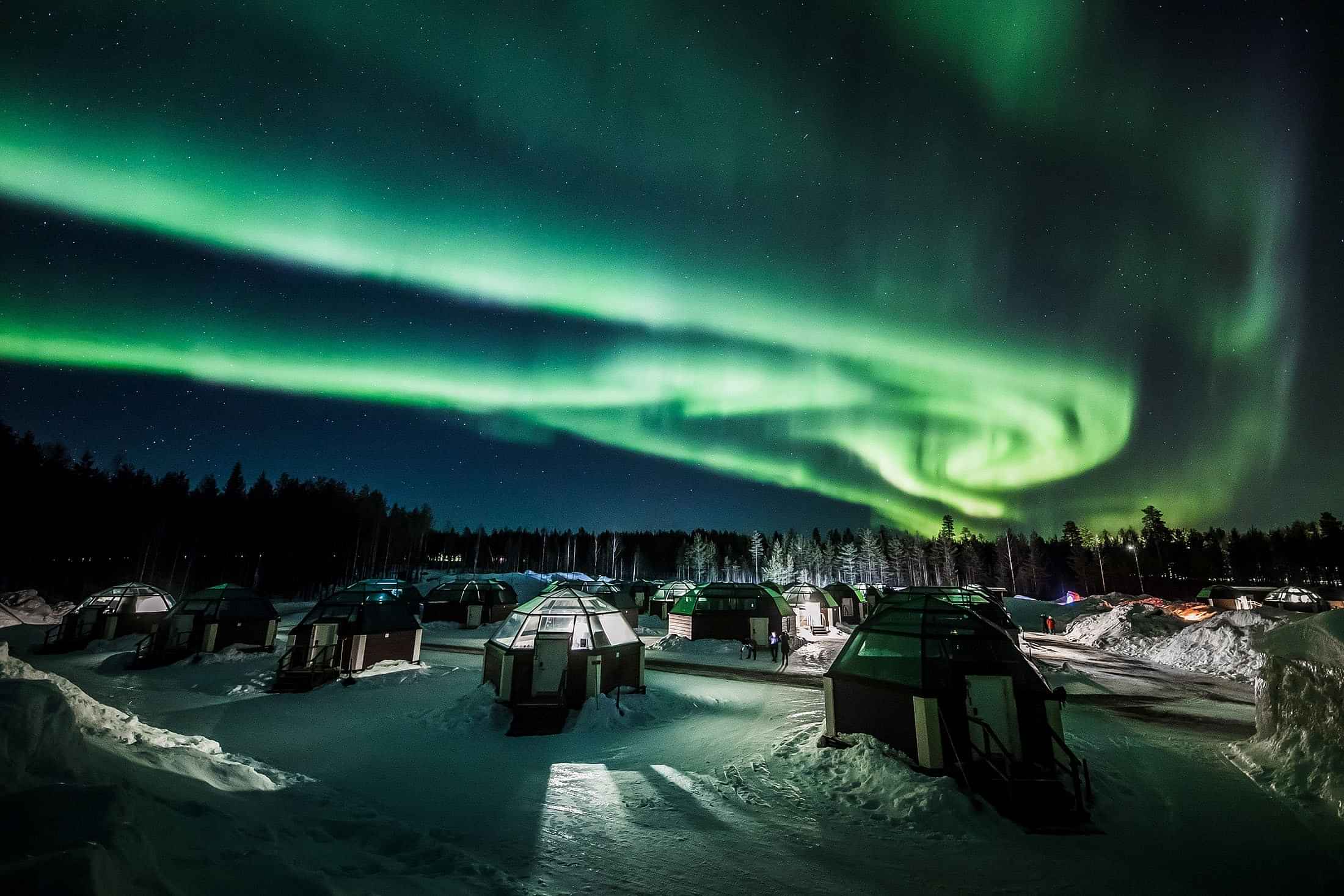 Rovaniemi: Northern Lights Tour by Minibus