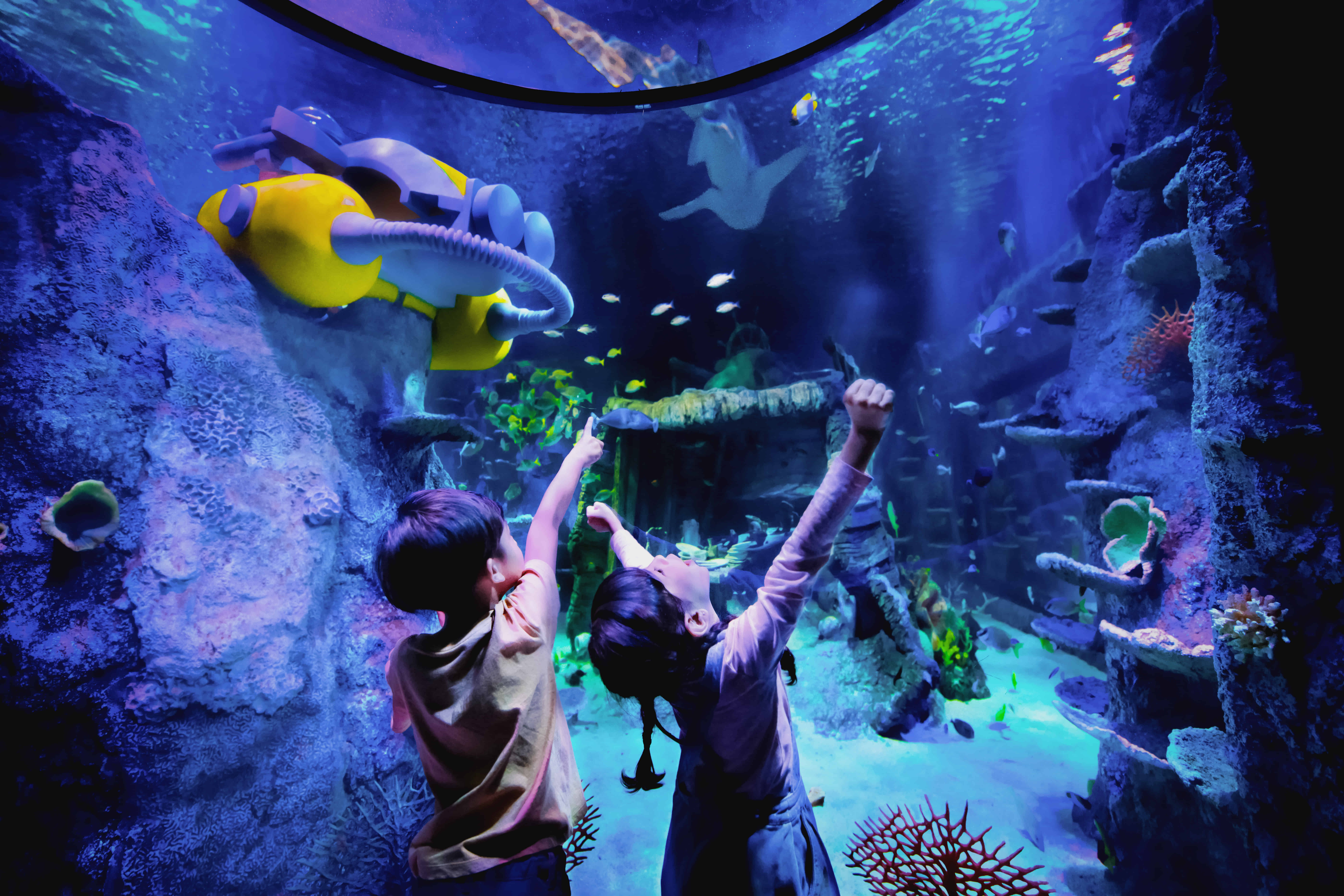 Legoland : 1 day combo - Theme park and Sea life tickets 