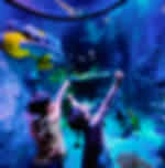 Legoland : 1 day combo - Theme park and Sea life tickets