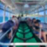 Glass Bottom Boat, Turtle Island, Snorkeling With Shared Transfers