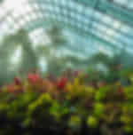 Gardens by the bay (Flower Dome and Cloud forest) on shared basis
