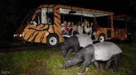 Chiang Mai 5 Nights 6 Days Adventure Itinerary