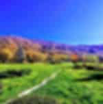 Gabala Mountain Escape - Half Day Gabala City Tour Excluding Entrance Tickets
