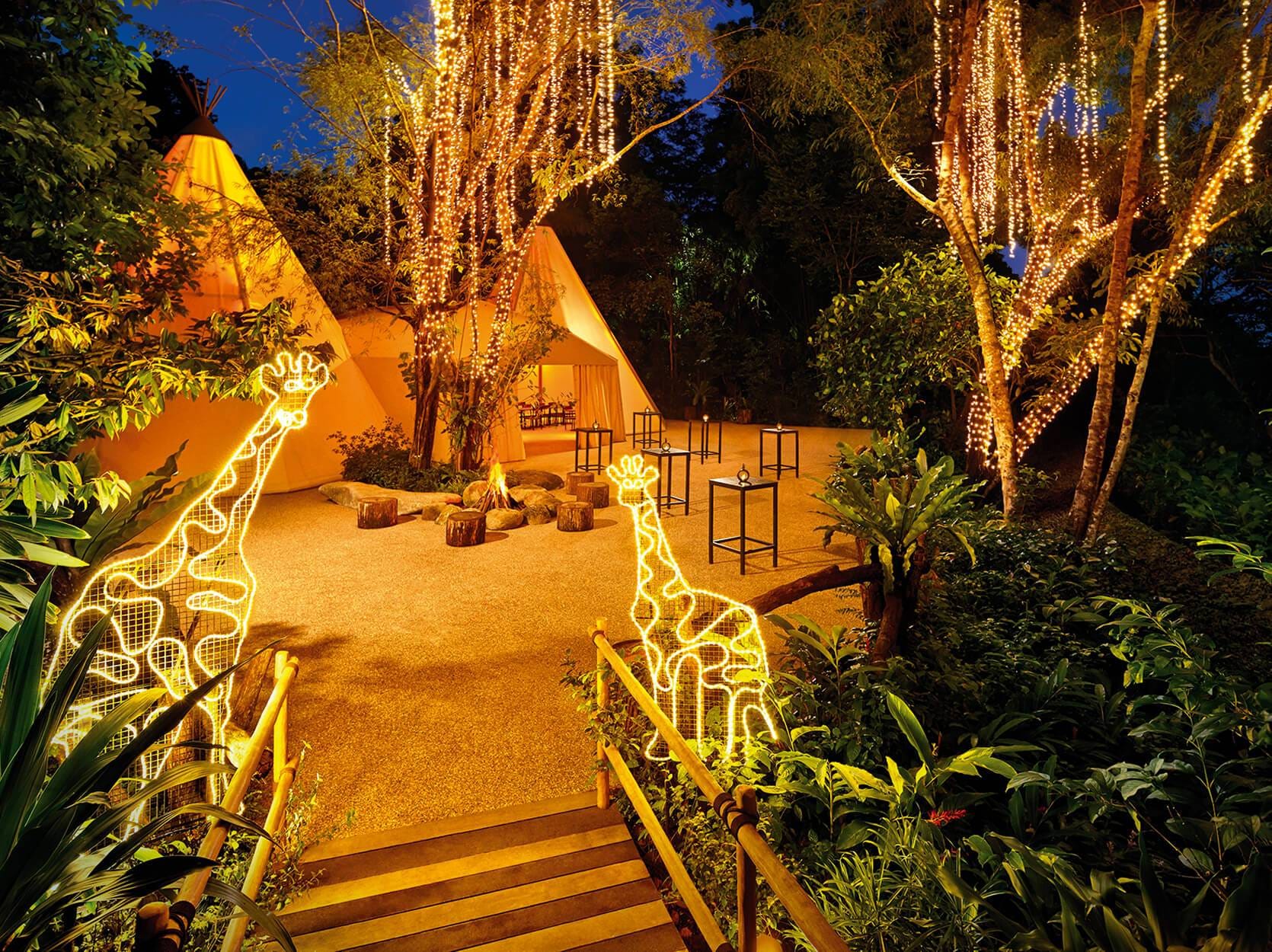 Night Safari ticket only
