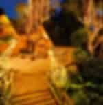 Night Safari ticket only