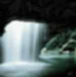 Natural Bridge and Glow Worm Cave Tour