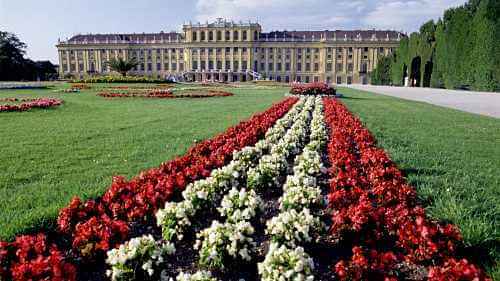 Schonbrunn Palace & Vienna Explorations