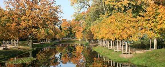 Tiergarten