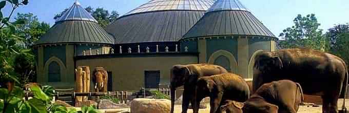 Hellabrunn Zoo