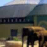 Hellabrunn Zoo
