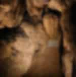 Anna Cave