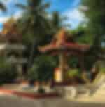 Zen Meditation Journey