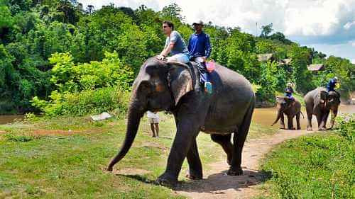 Elephant Riding & Kayaking Tour at Tad Sea Waterfalls