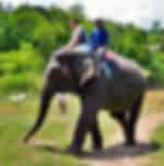 Elephant Riding & Kayaking Tour at Tad Sea Waterfalls