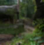 Tour of Phnom Kulen & Reclining Buddha