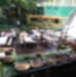 Villa Escudero at the Waterfalls