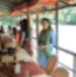 Excursion to Bohol from Cebu