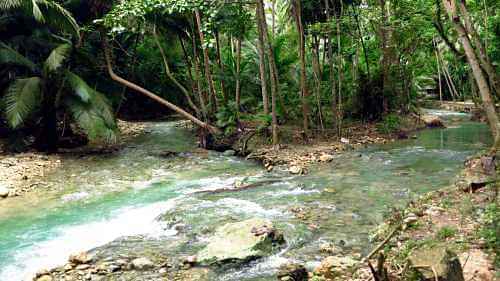 Kawasan Falls Tour