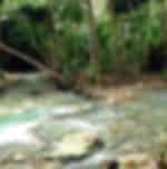 Kawasan Falls Tour