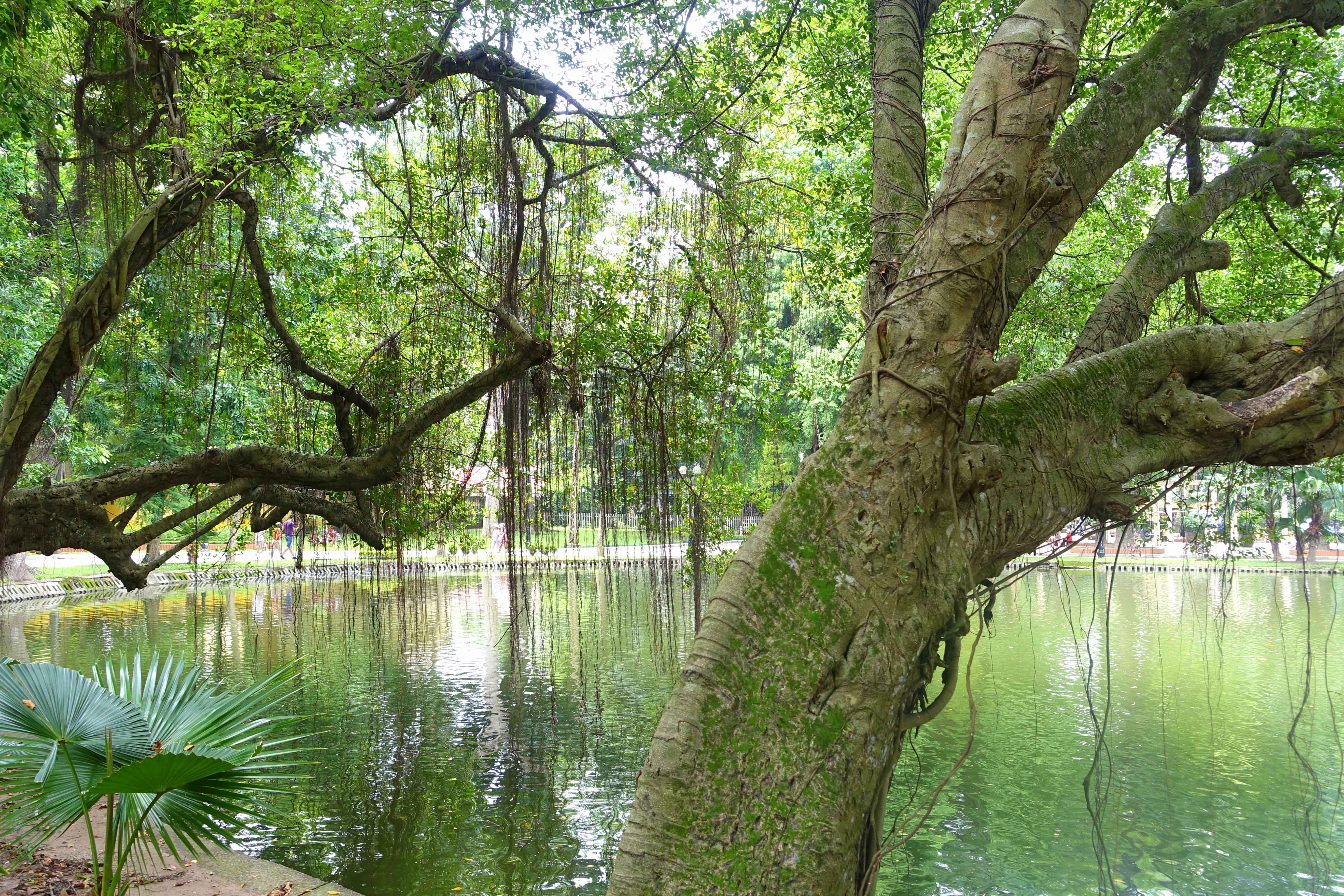 Hanoi Botanical Garden