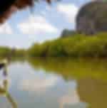 Ao Luk Mangroves