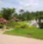 Lake Gardens