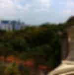 Go on an exciting hike in the great Southern Ridges