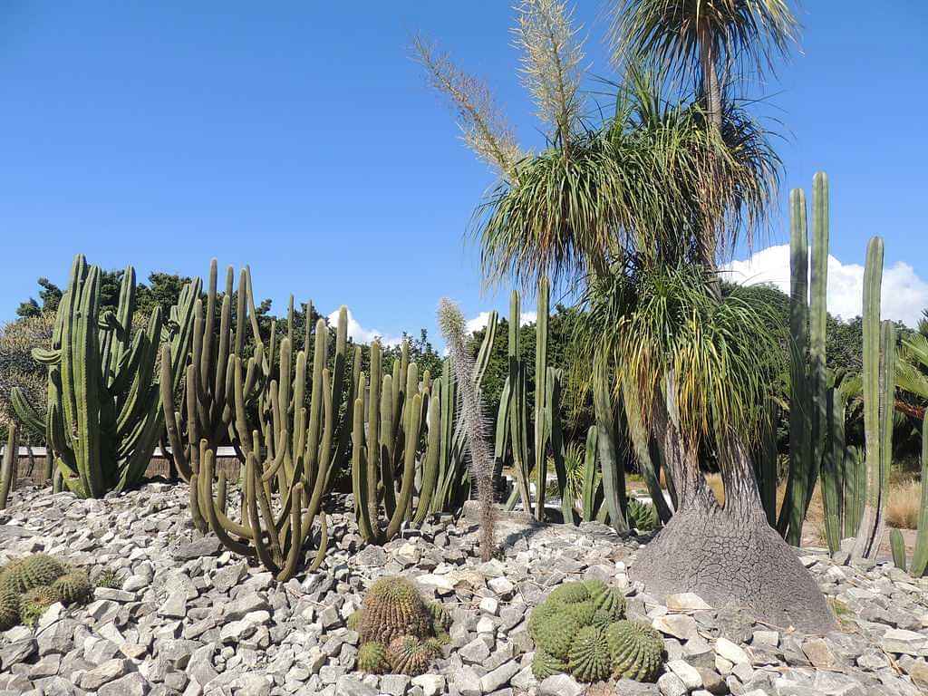 Visit to Auckland Botanic Gardens