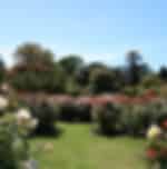 Mona Vale - Gardens and exquisite flower beds