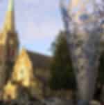 Christchurch Free Walking Tour