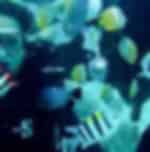 Discover Scuba Diving at Boracay Island